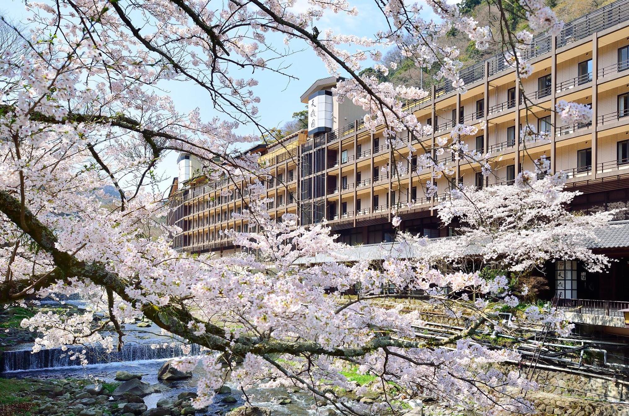 Tenseien Hakone Zewnętrze zdjęcie